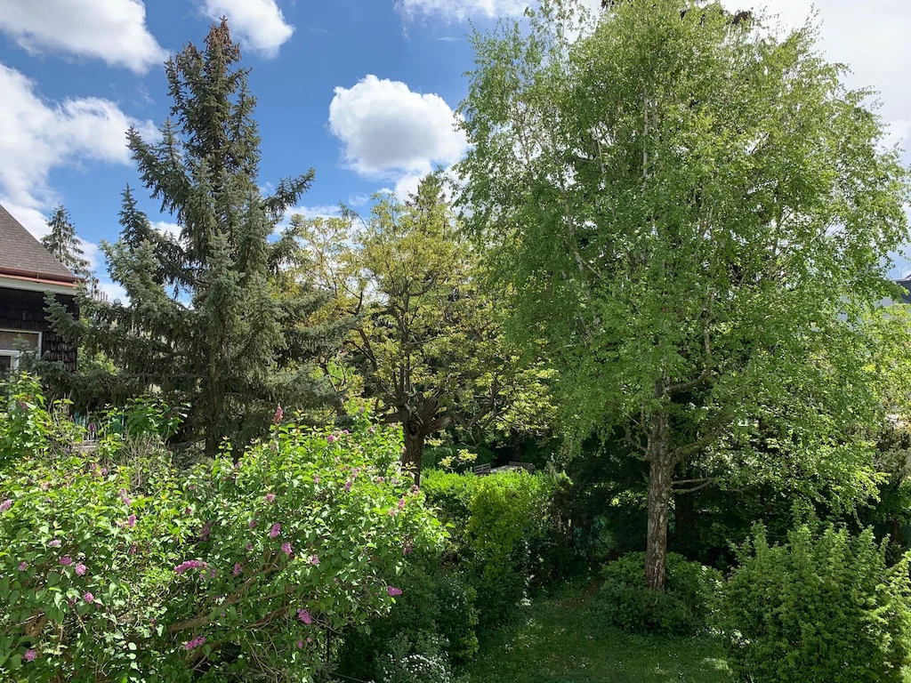 Blick in den grünen Innenhof Hetzendorfer Straße 155, 1120 Wien